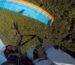 parapente acrobatique